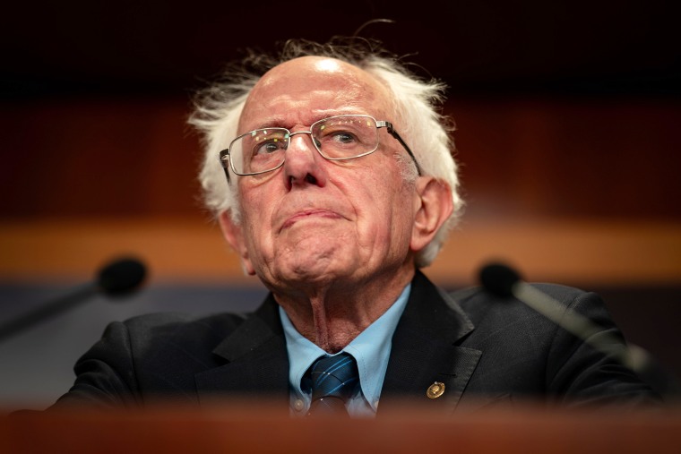 Image: bernie sanders politics political politician