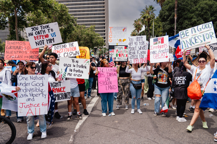 NO KINGS Immigration Protest.